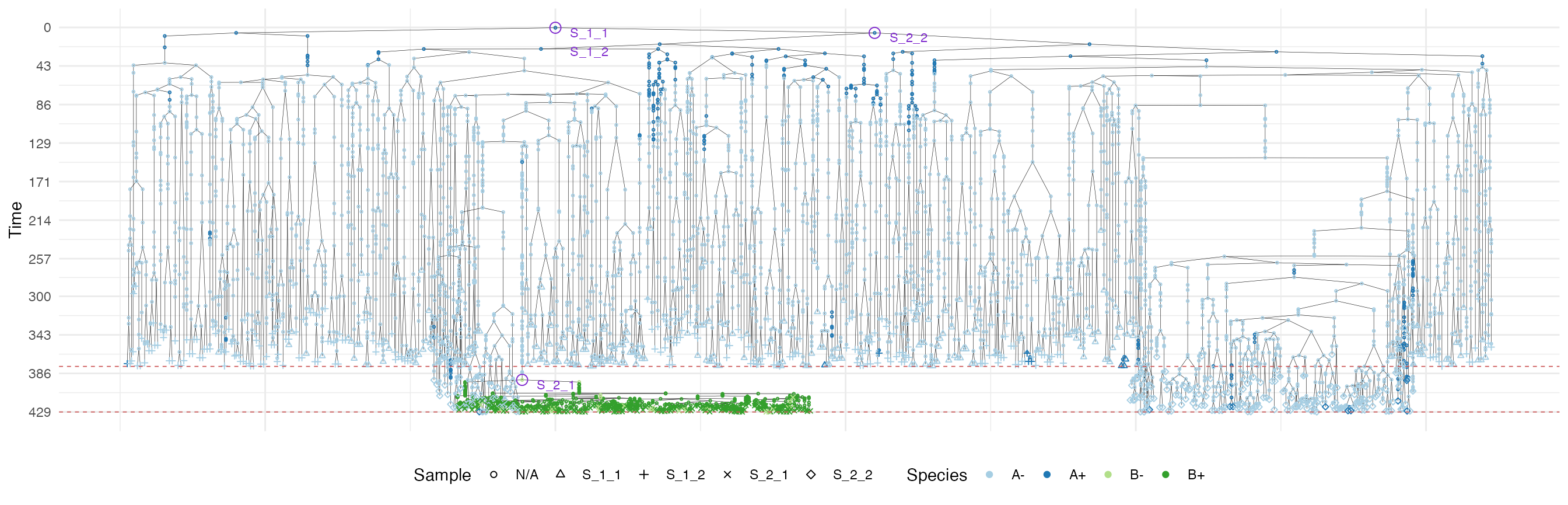 The samples forest of the tumour grown according the border-driven growth model.
