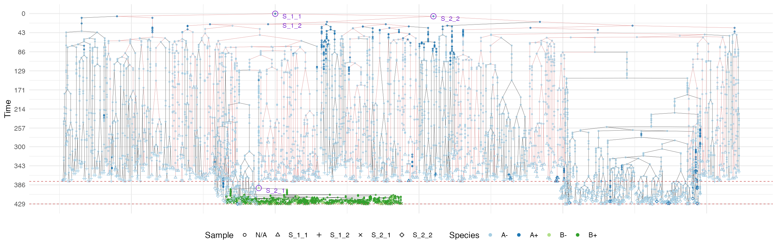 The samples forest of the tumour grown according the border-driven growth model. The sub-forest of sample S_1_1 is highlighted.