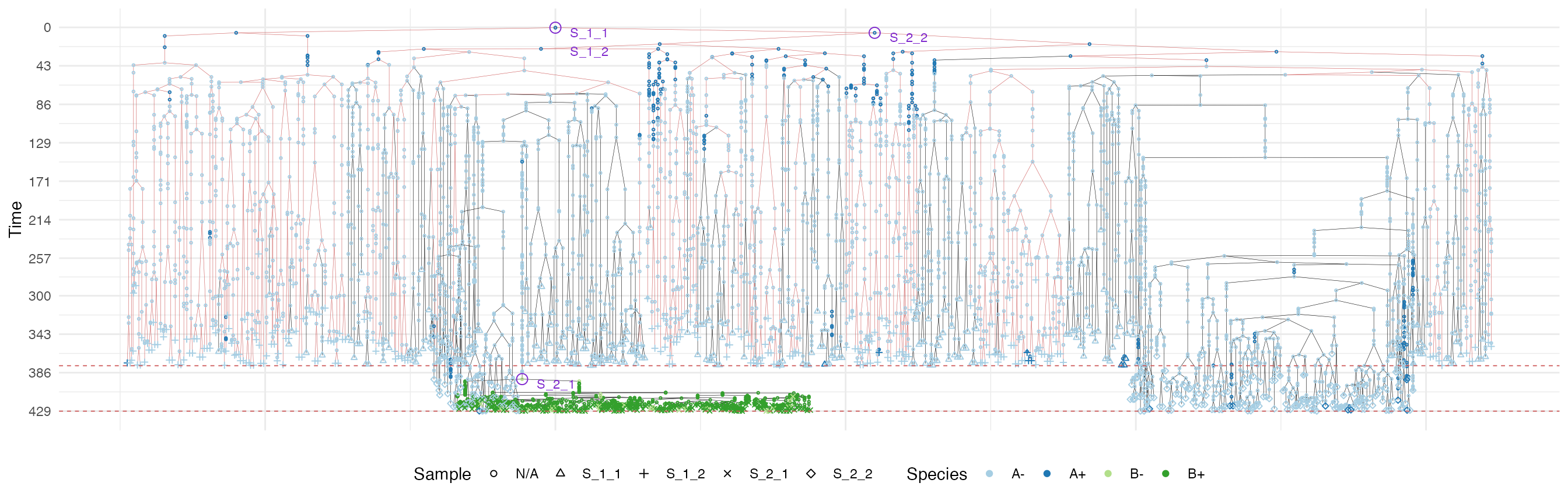 The samples forest of the tumour grown according the border-driven growth model. The sub-forest of sample S_1_2 is highlighted.