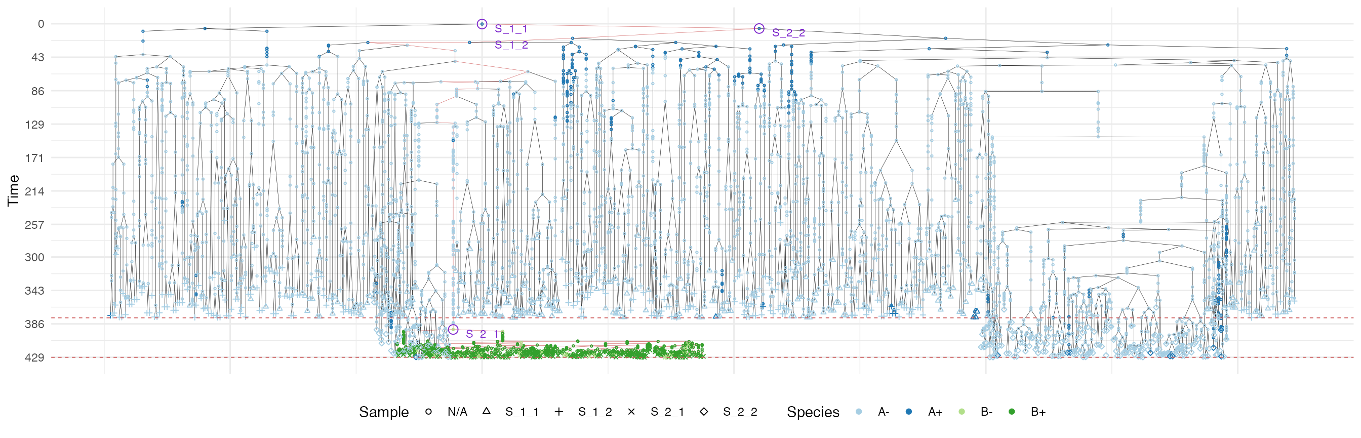 The samples forest of the tumour grown according the border-driven growth model. The sub-forest of sample S_2_1 is highlighted.