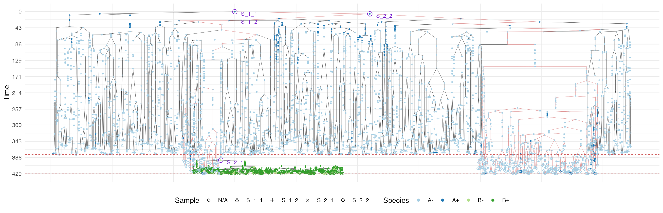 The samples forest of the tumour grown according the border-driven growth model. The sub-forest of sample S_2_2 is highlighted.