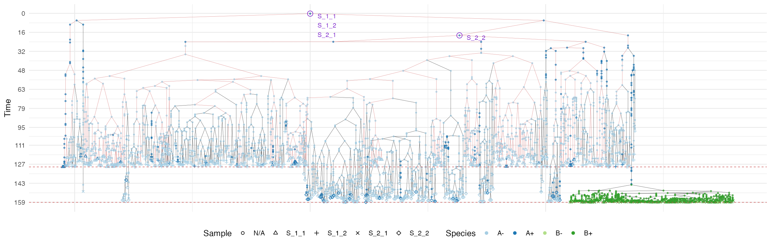 The samples forest of a tumour grown according the uniform growth model. The sub-forest of sample S_1_1 is highlighted.