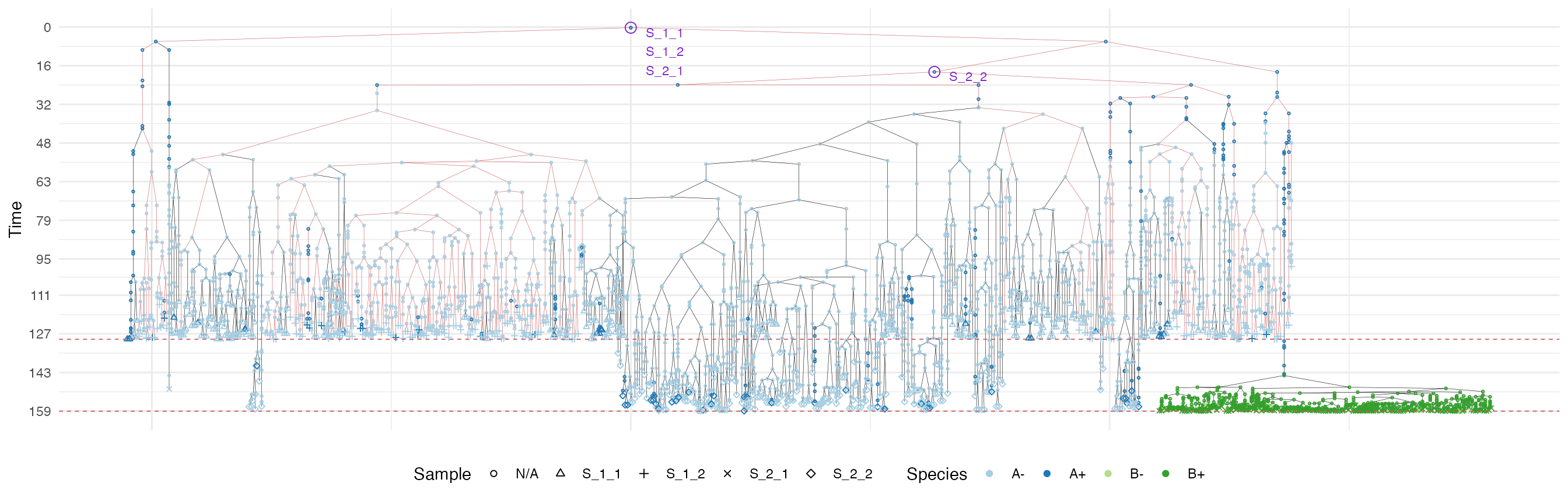 The samples forest of a tumour grown according the uniform growth model. The sub-forest of sample S_1_2 is highlighted.