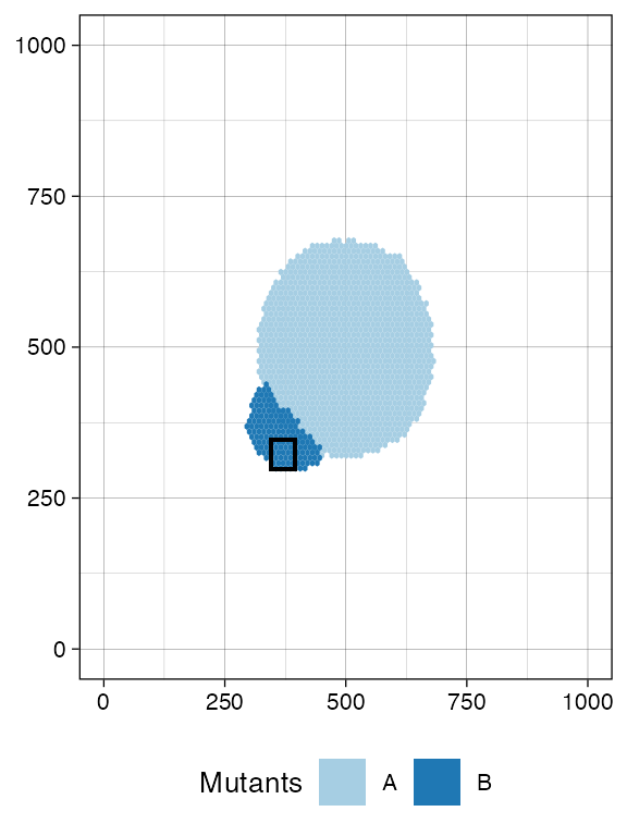 The rectangle delimiting the sample S_2_1 containing 2000 cells of mutant B at least.