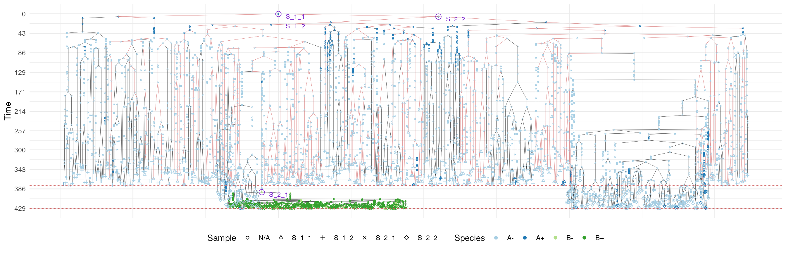 The sample forest of the tumour grown according the border-driven growth model. The sub-forest of sample S_1_1 is highlighted.
