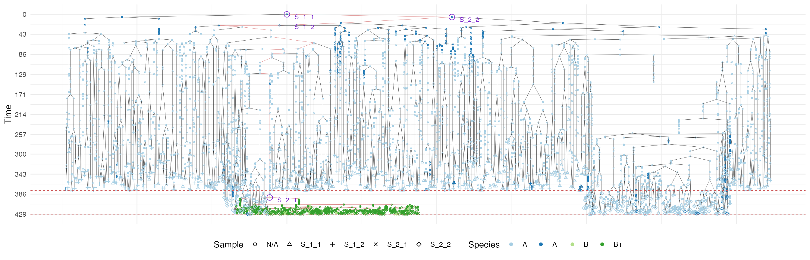 The sample forest of the tumour grown according the border-driven growth model. The sub-forest of sample S_2_1 is highlighted.