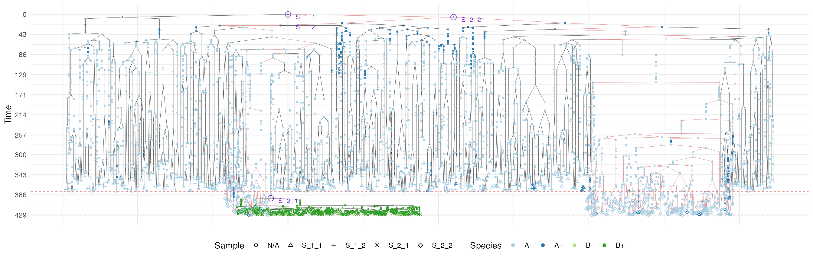 The sample forest of the tumour grown according the border-driven growth model. The sub-forest of sample S_2_2 is highlighted.
