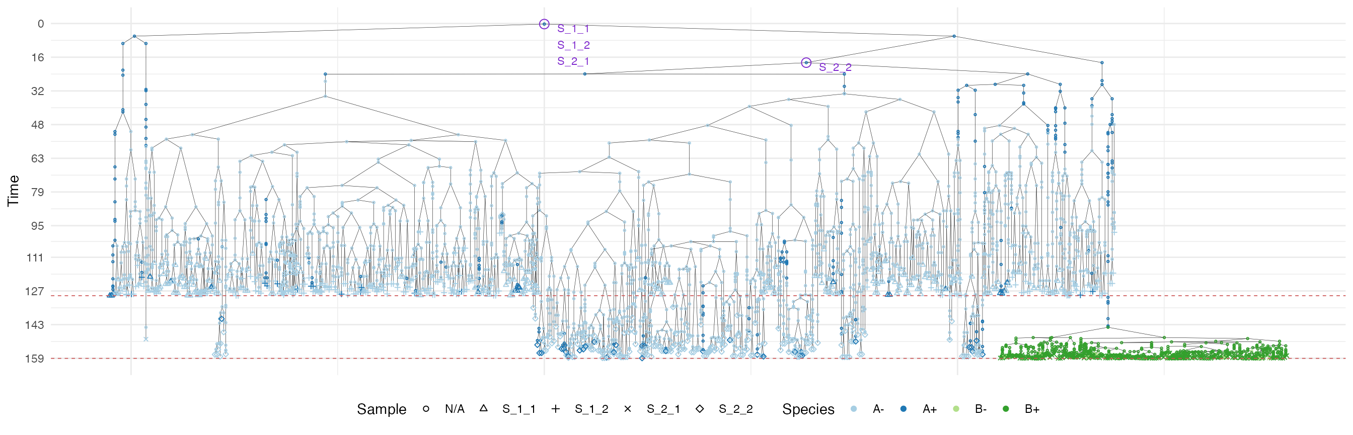 The sample forest of a tumour grown according the uniform growth model.