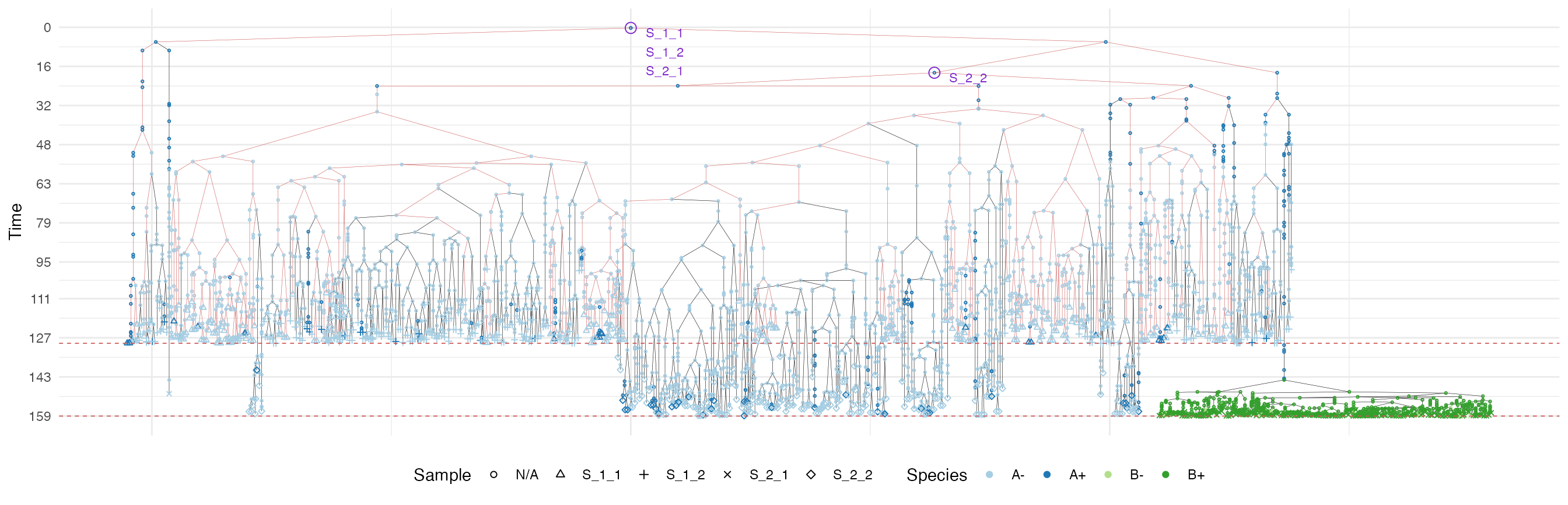 The sample forest of a tumour grown according the uniform growth model. The sub-forest of sample S_1_1 is highlighted.