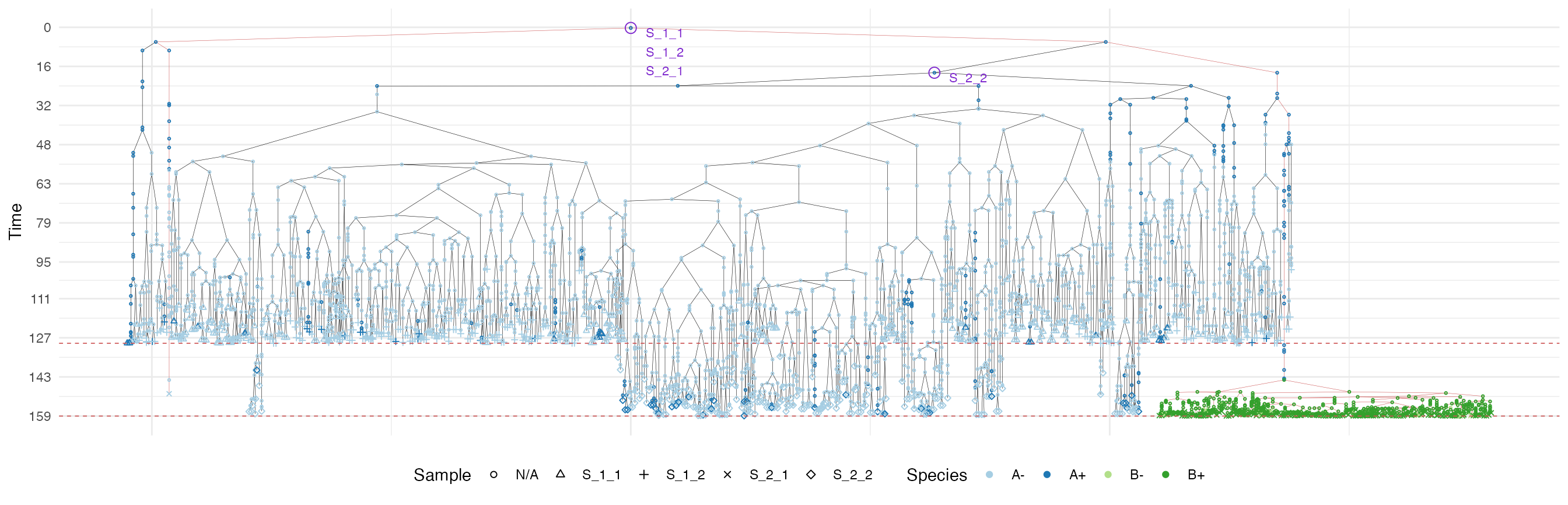 The sample forest of a tumour grown according the uniform growth model. The sub-forest of sample S_2_1 is highlighted.